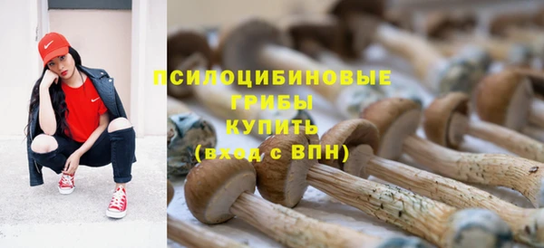амф Аркадак