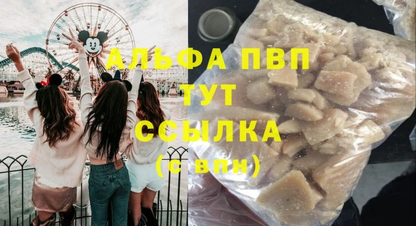 амф Аркадак
