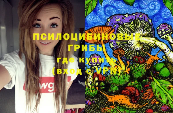 амф Аркадак