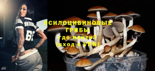амф Аркадак